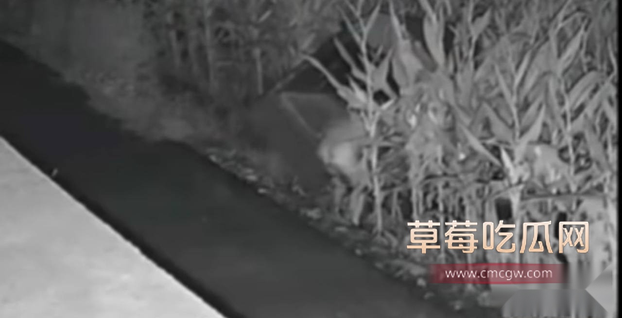 photo20250812222731 photo20250812222731