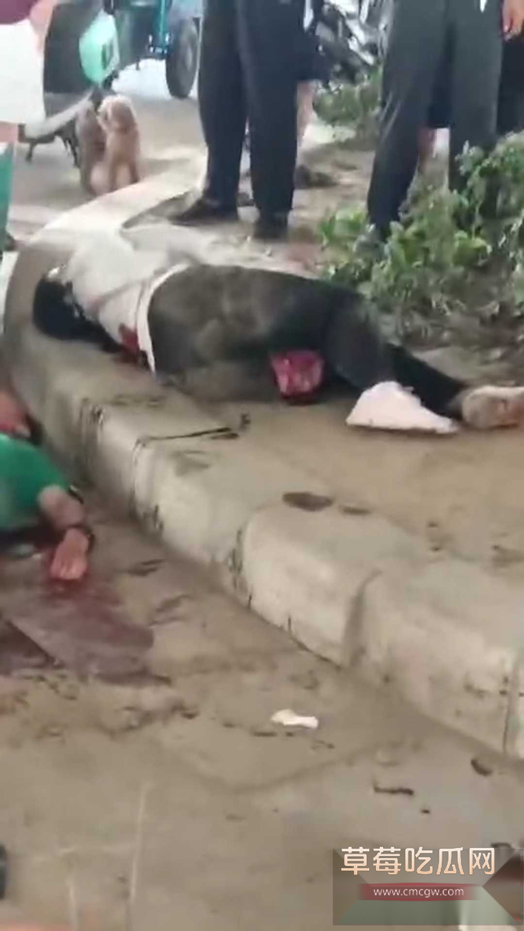 郑州中牟新区抢摊位捅人案件 3