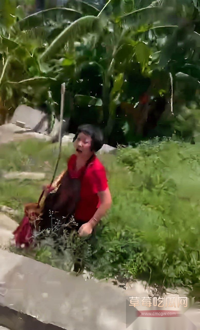 福建泉州肥宅试图强奸69岁老太视频独家曝光 7 福建泉州肥宅试图强奸69岁老太视频独家曝光 7