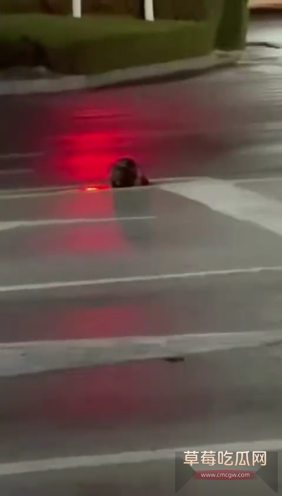 山东诸城繁荣路惊现人头 1 山东诸城繁荣路惊现人头 1