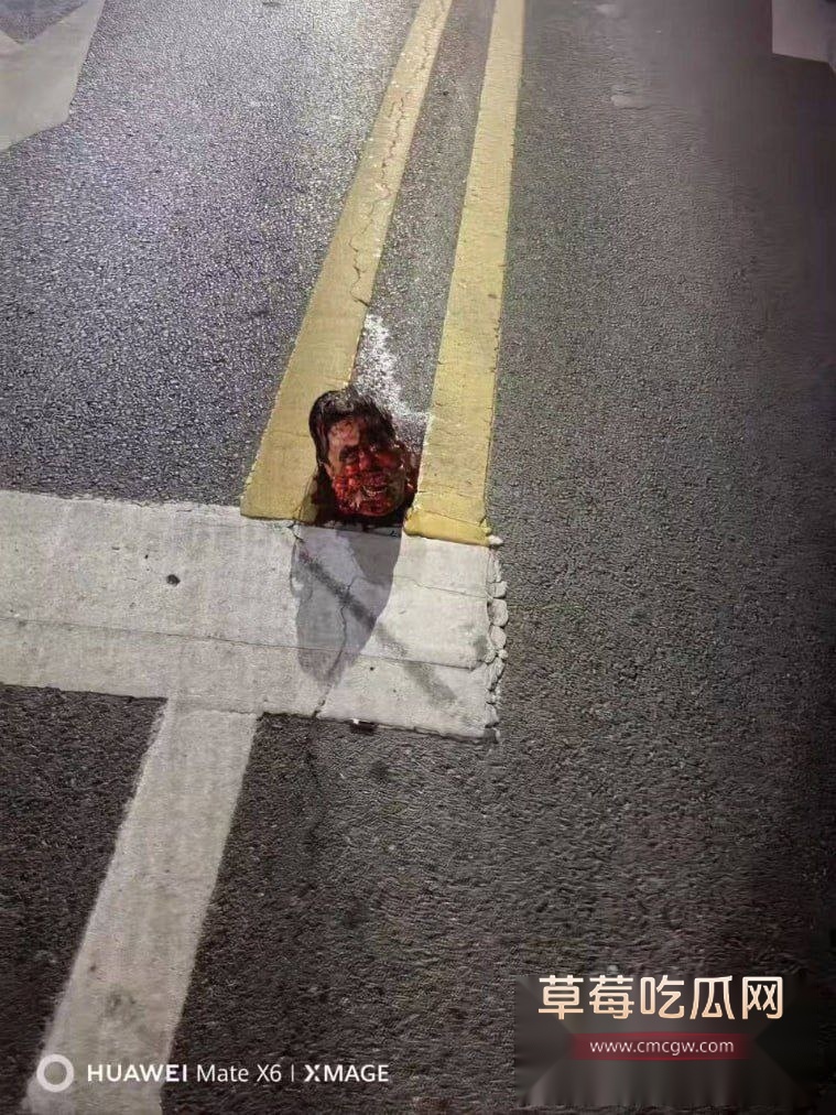 山东诸城繁荣路惊现人头 6 山东诸城繁荣路惊现人头 6