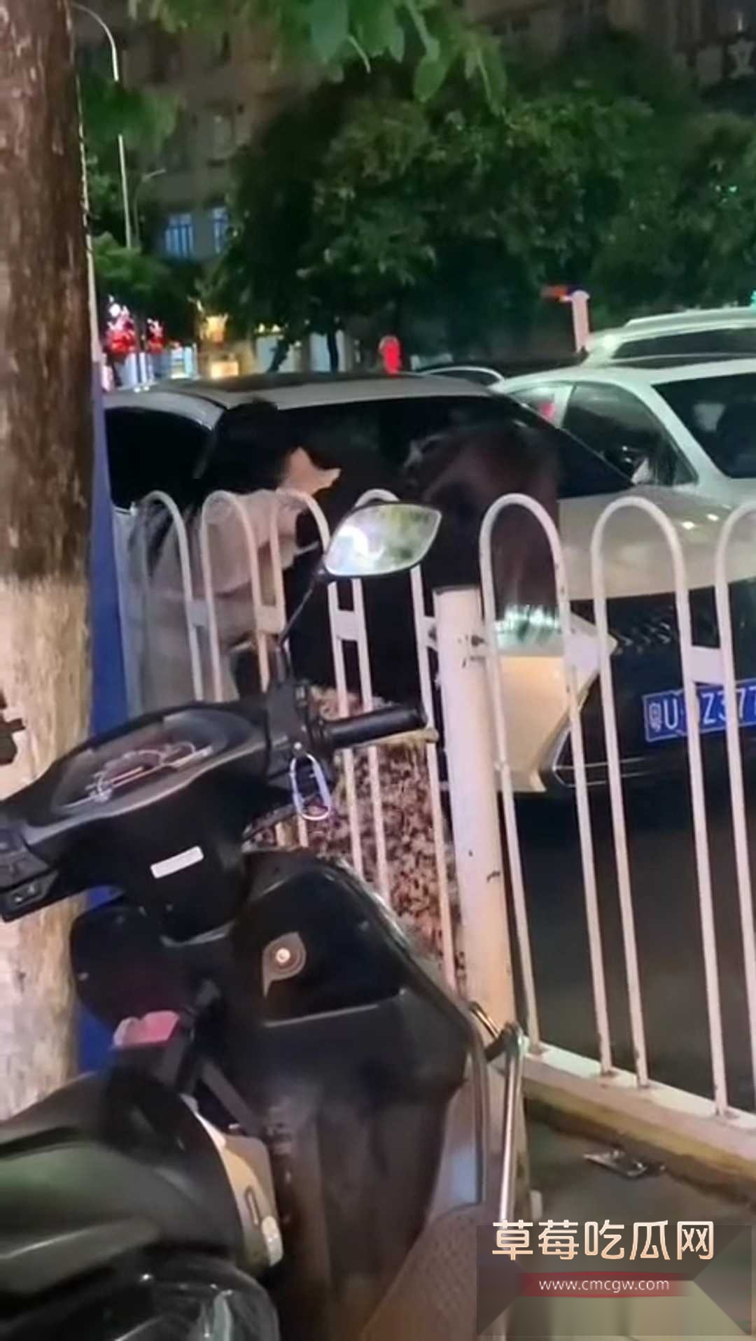 潮州街头怒撕撕小三 2 潮州街头怒撕撕小三 2