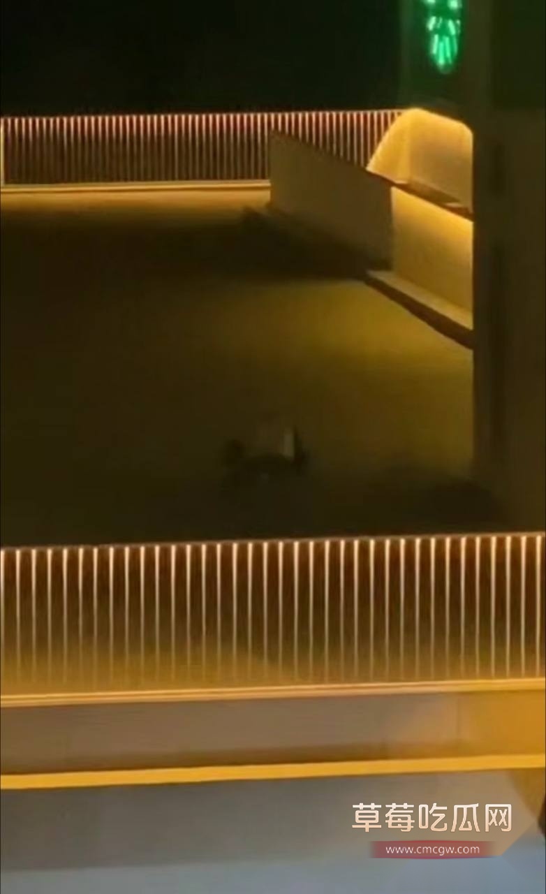 photo20250816165302 photo20250816165302