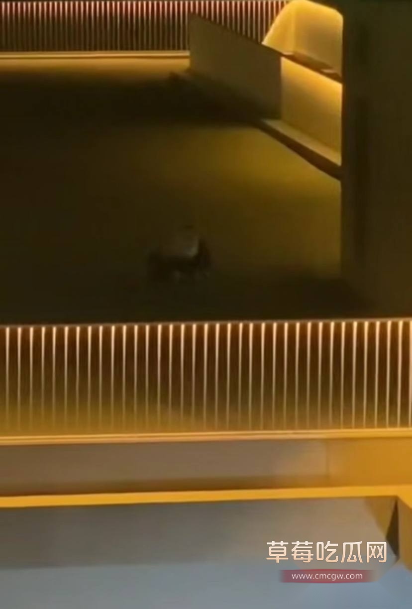 photo20250816165307 photo20250816165307