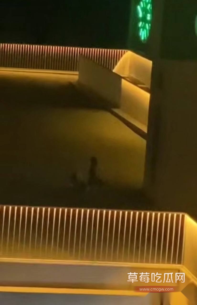 photo20250816165308 photo20250816165308