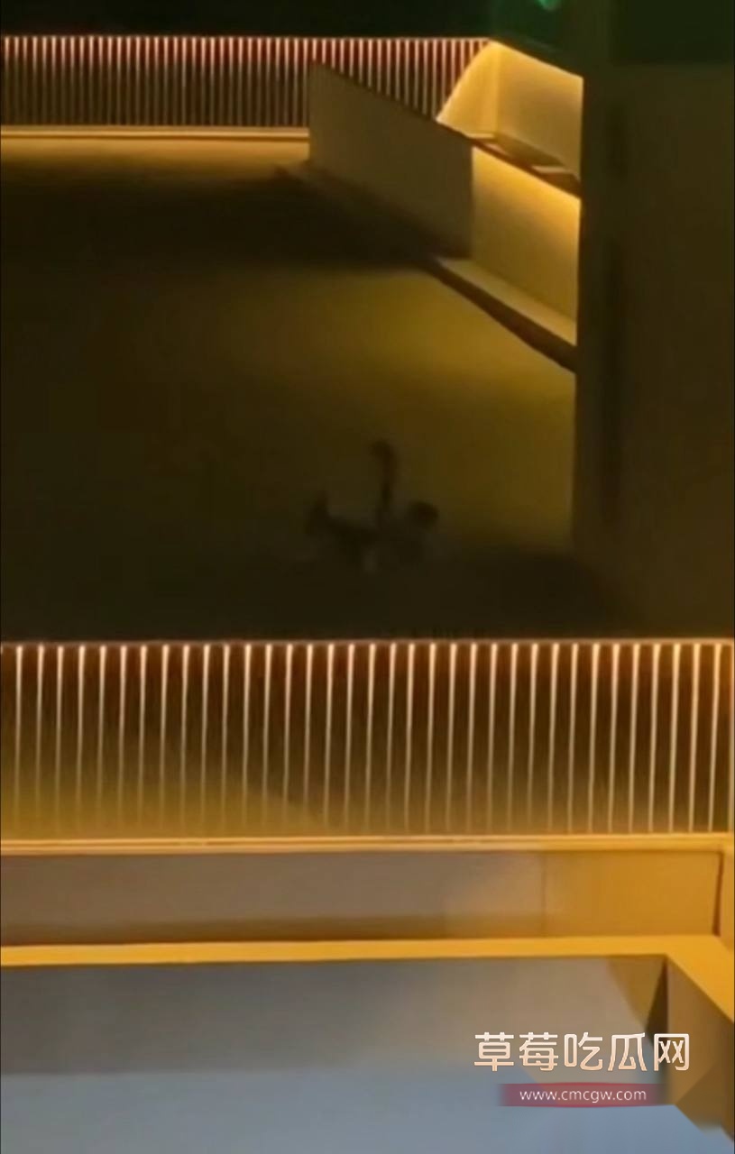 photo20250816165309 photo20250816165309