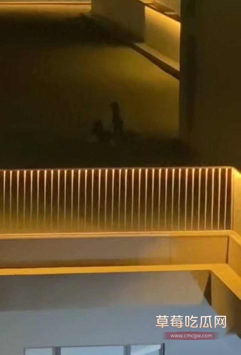 photo20250816165311 photo20250816165311