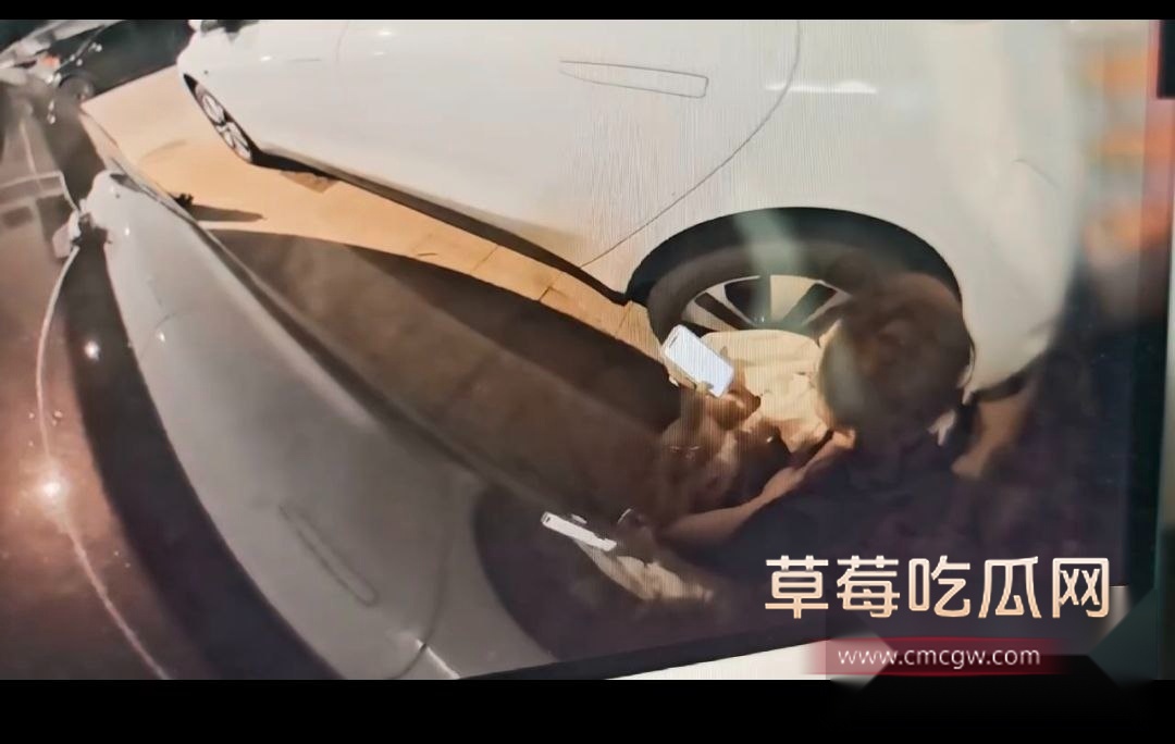 美女怎么这么喜欢到车边上撒尿啊 4