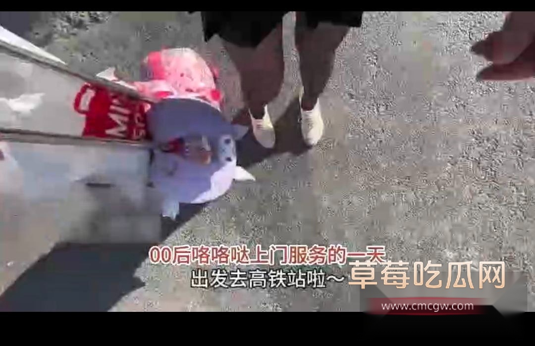 真实记录当鸡的一天 还有人说鸡容易吗 4