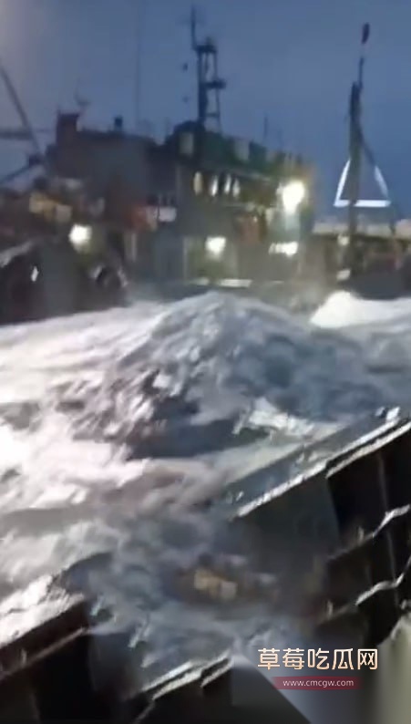 桃园渔港一辆载装卸人员的面包车离港时坠海 5 桃园渔港一辆载装卸人员的面包车离港时坠海 5