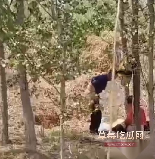 photo20250819161327 photo20250819161327