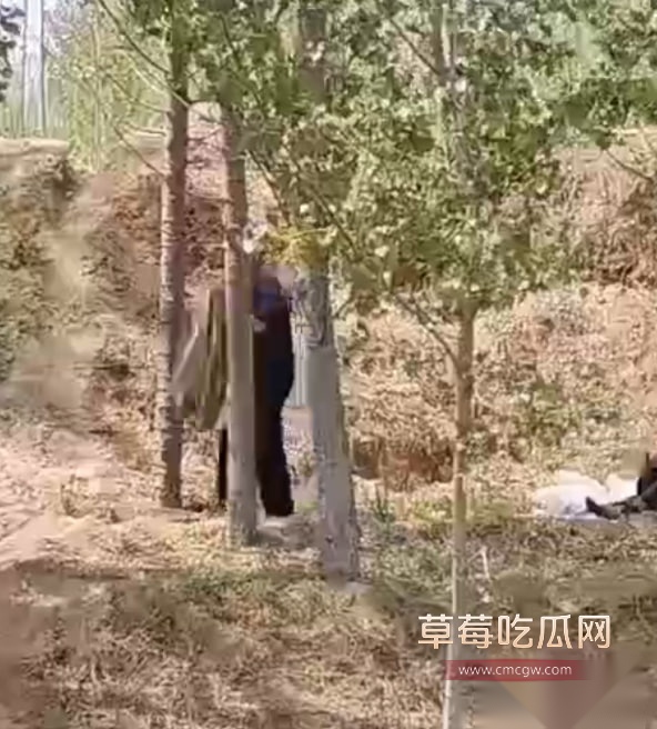 photo20250819161332 photo20250819161332