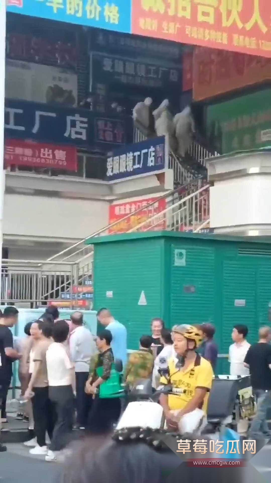 男子杀妻后自杀 1 男子杀妻后自杀 1