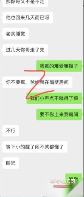 趁哥哥外地工作把还在喂奶带孩子的嫂子给办了2 趁哥哥外地工作把还在喂奶带孩子的嫂子给办了2