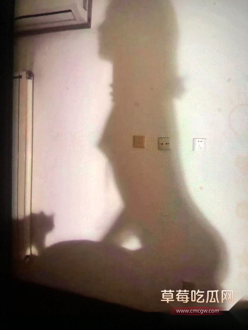 长沙雨花树木岭火热台球五江天街店 杨巧 12 长沙雨花树木岭火热台球五江天街店 杨巧 12