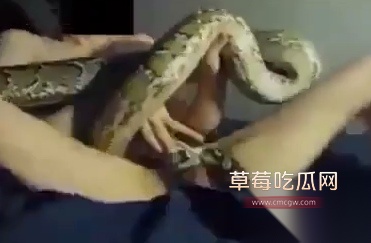 Snipaste20250822121705 Snipaste20250822121705