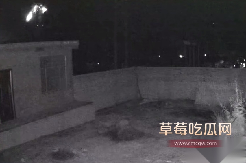 Snipaste20250823172040 Snipaste20250823172040