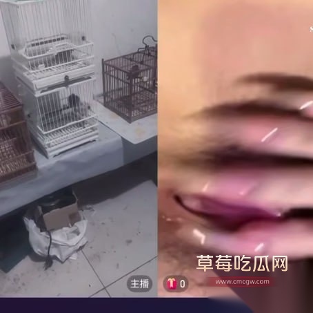 photo20250822193853 photo20250822193853