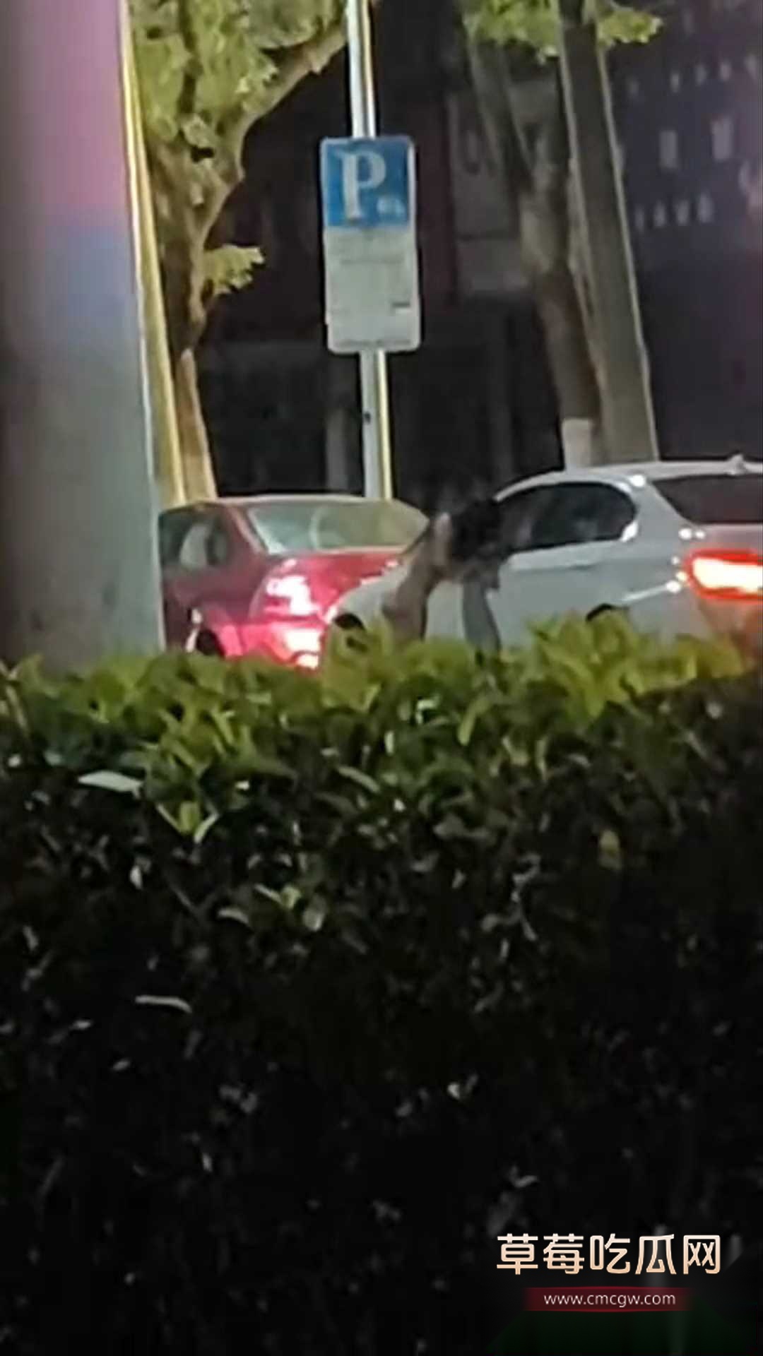 一言不合就脱衣服的小仙女 3