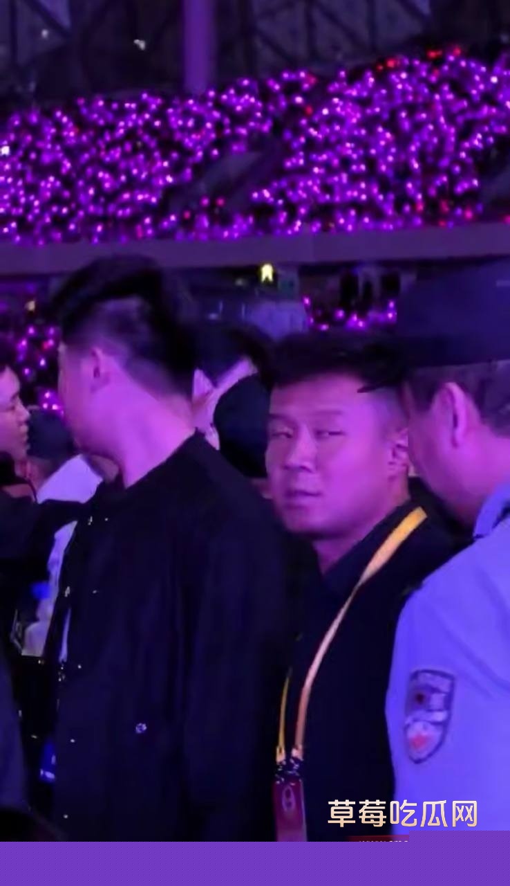 杨宗纬演唱会摔下舞台 2 杨宗纬演唱会摔下舞台 2