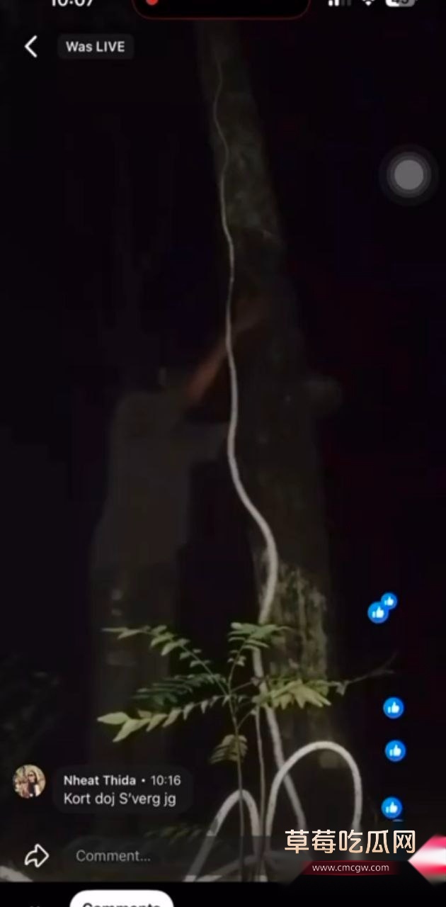 photo20250827125814 photo20250827125814