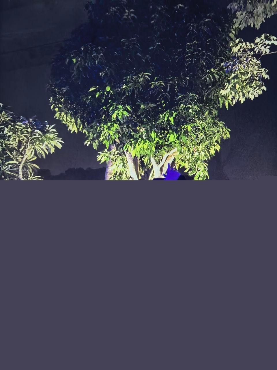 广东湛江性感富婆包养壮年小伙 19