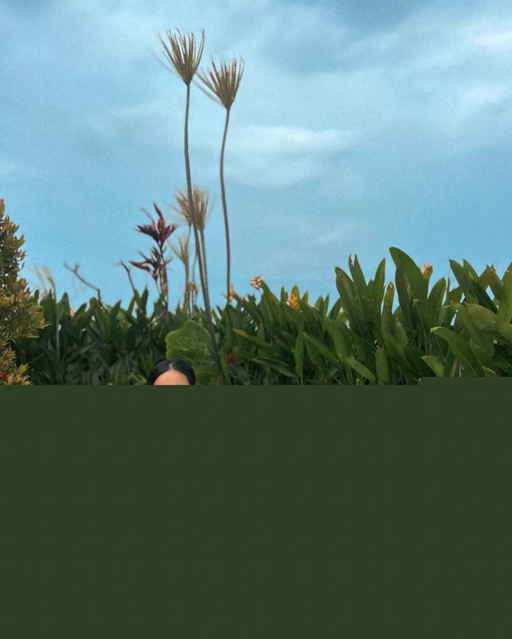 photo220250827153200 photo220250827153200