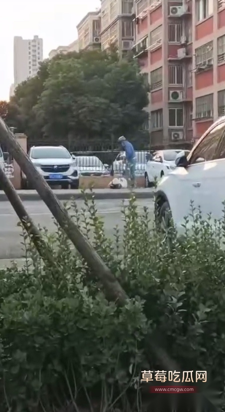 Snipaste20250830171608 Snipaste20250830171608