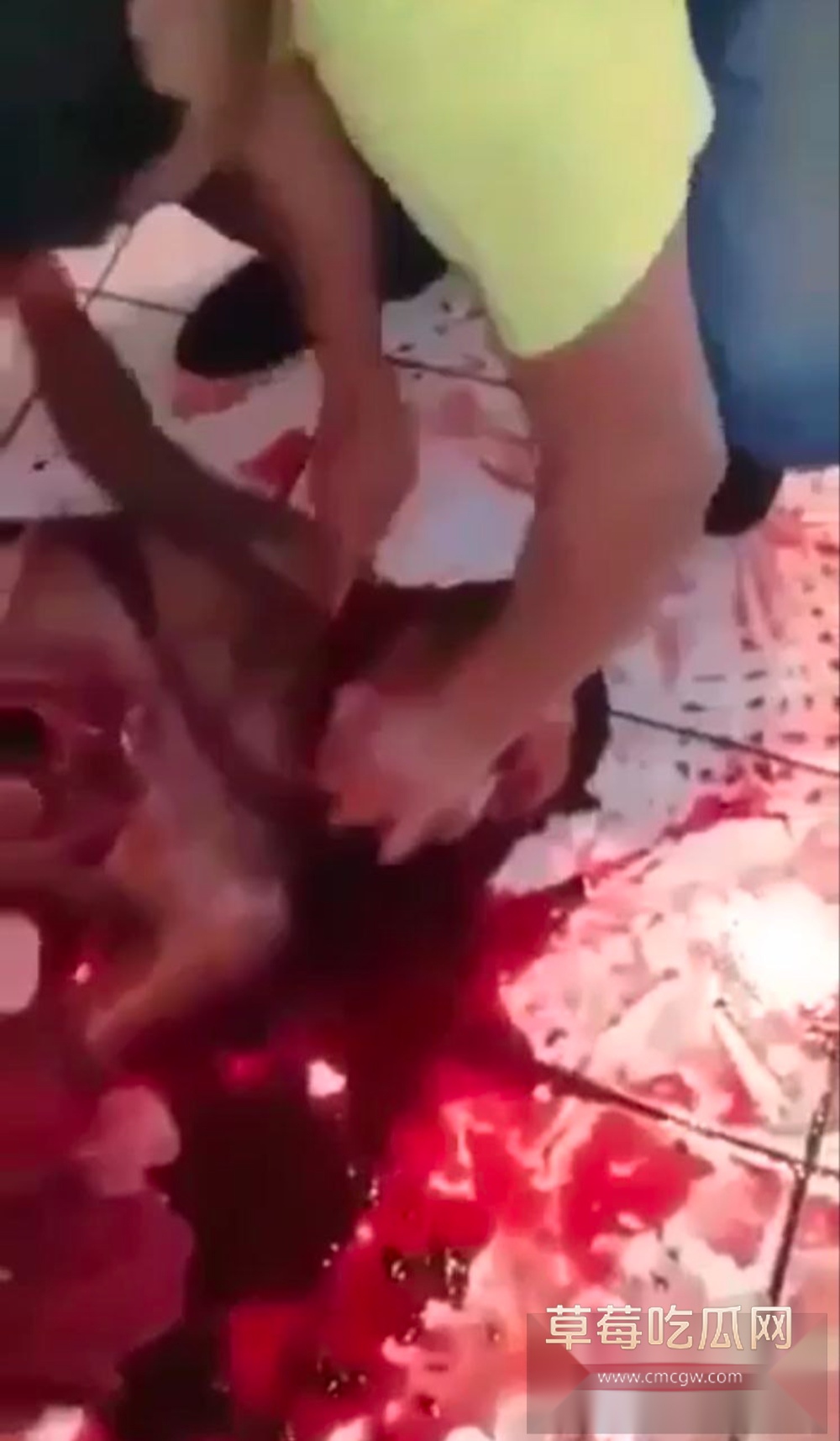 photo320250831153922 photo320250831153922