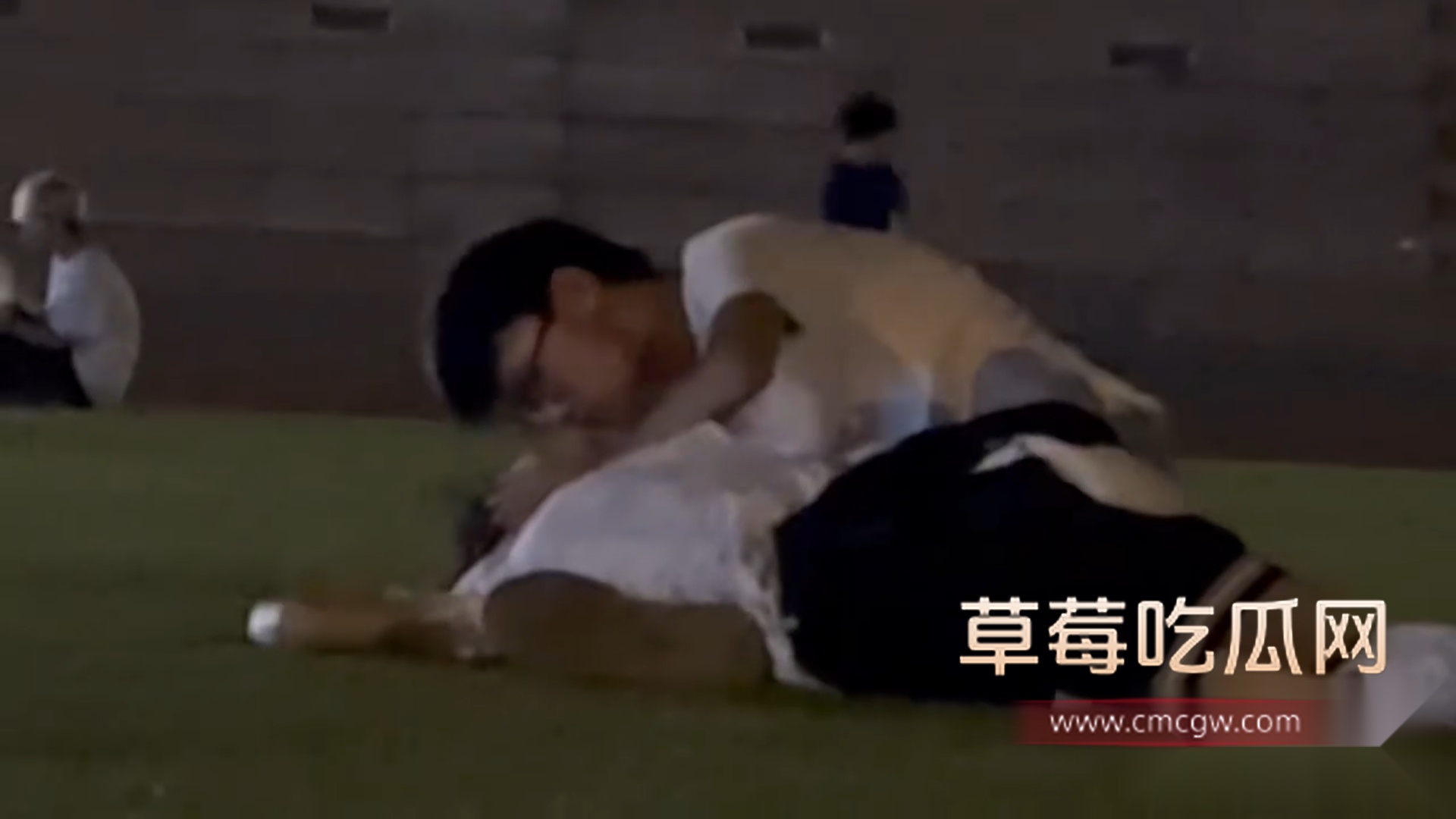 一对小情侣在草坪 4