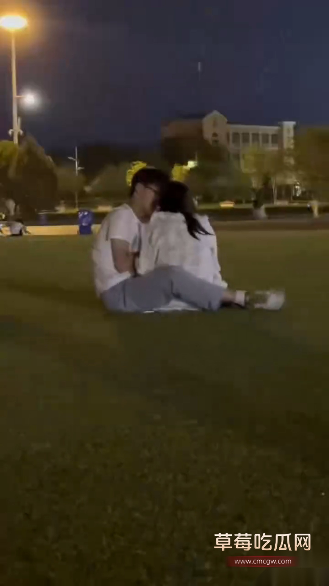 一对小情侣在草坪 5