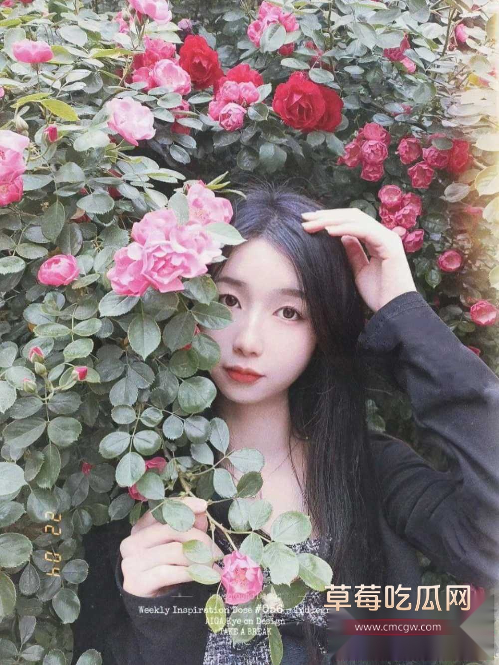 photo620250901115054