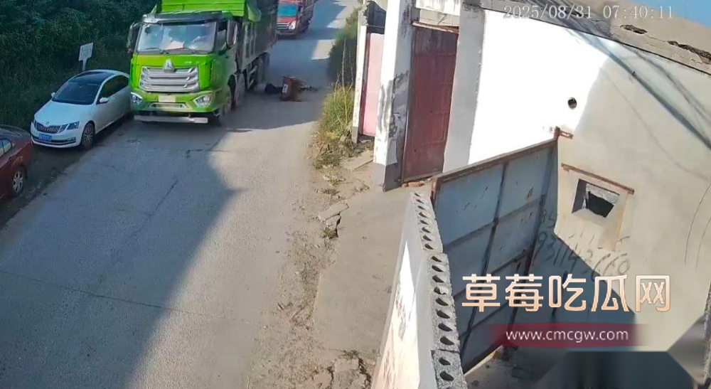 photo420250902201717 photo420250902201717