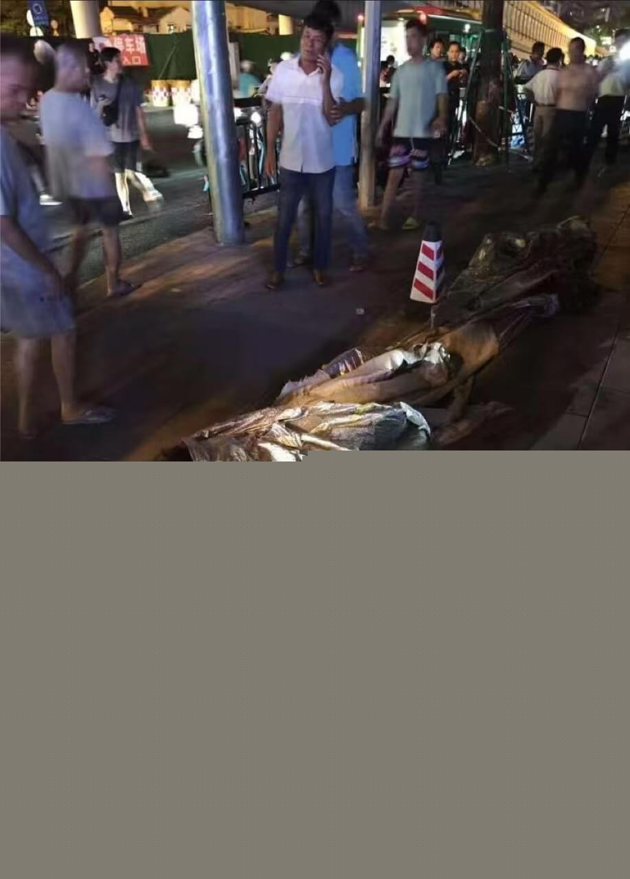 广州鹤洞大桥车祸现场缠不忍睹1.jpg 广州鹤洞大桥车祸现场缠不忍睹1.jpg