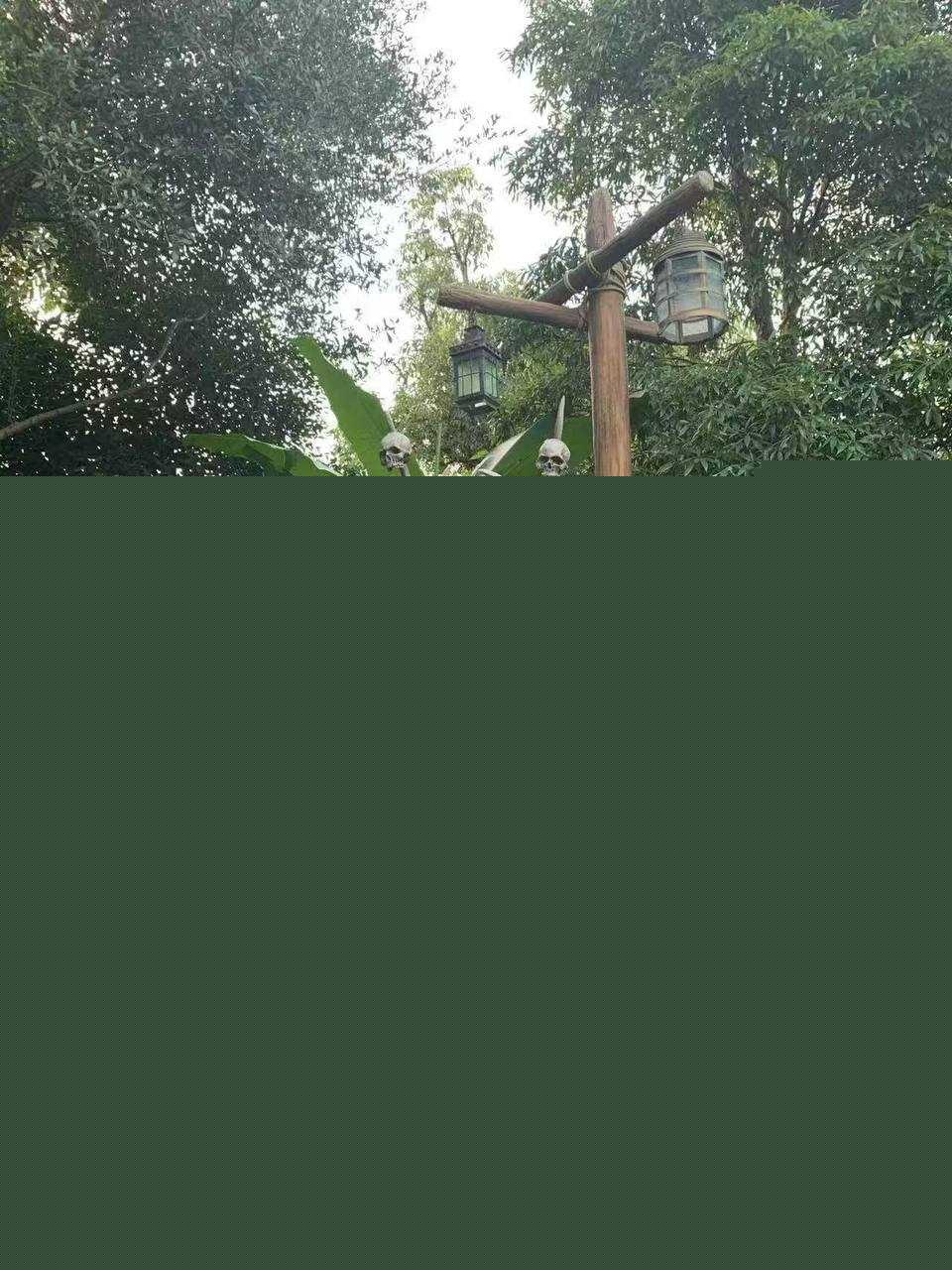 photo1720250904111734 photo1720250904111734