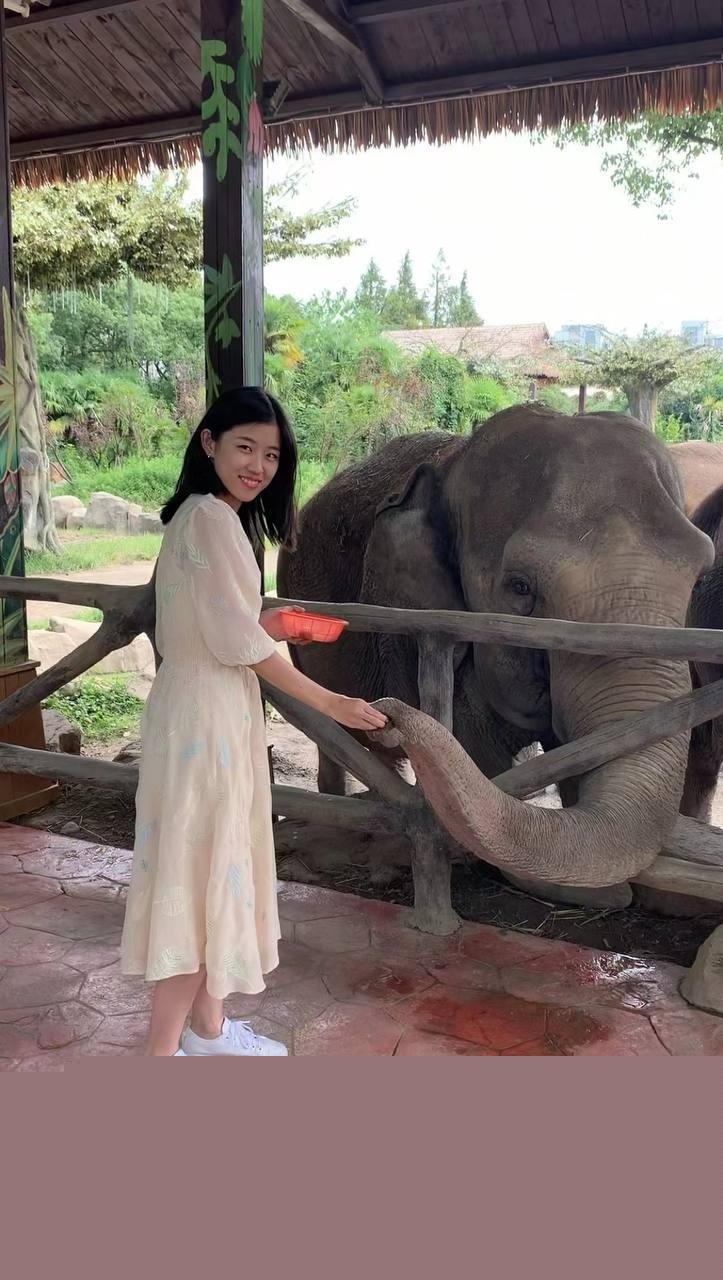 photo1820250904111734 photo1820250904111734