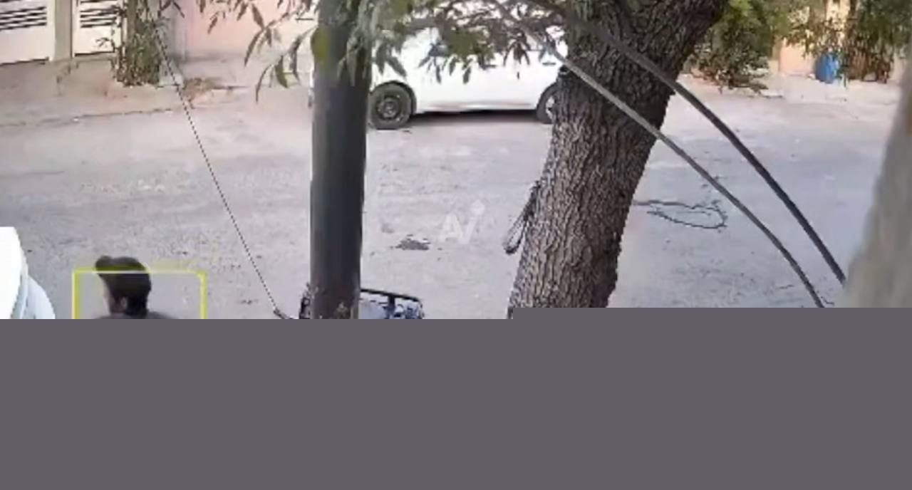 墨西哥枪杀事件2