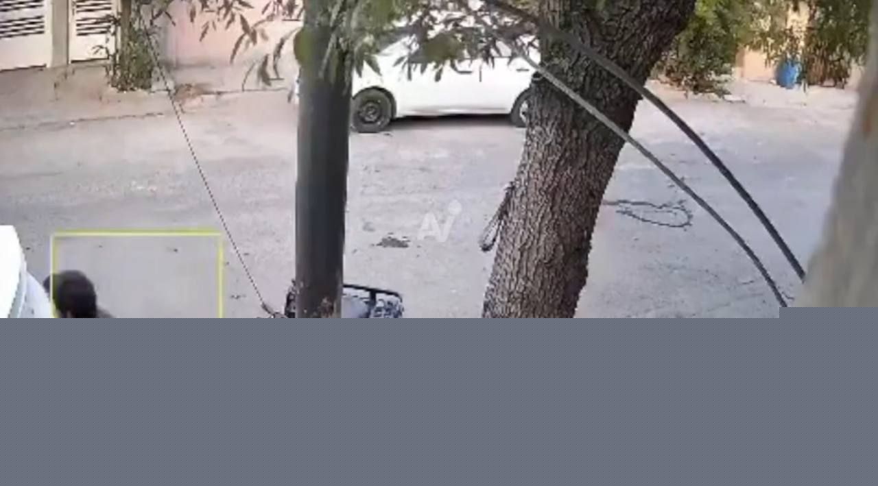 墨西哥枪杀事件4