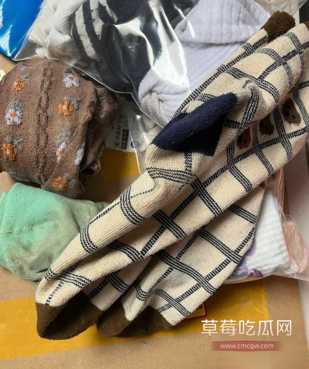 浙传大三学妹林敏 7