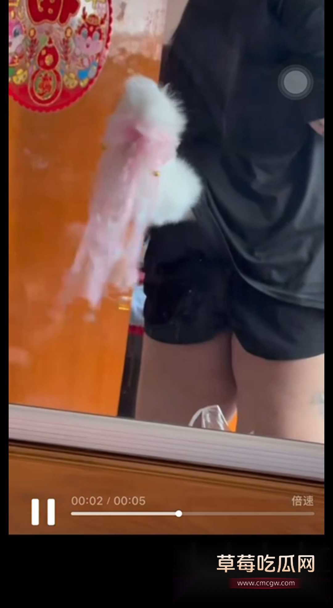 极端女权圈里的重量级神兽 5 极端女权圈里的重量级神兽 5