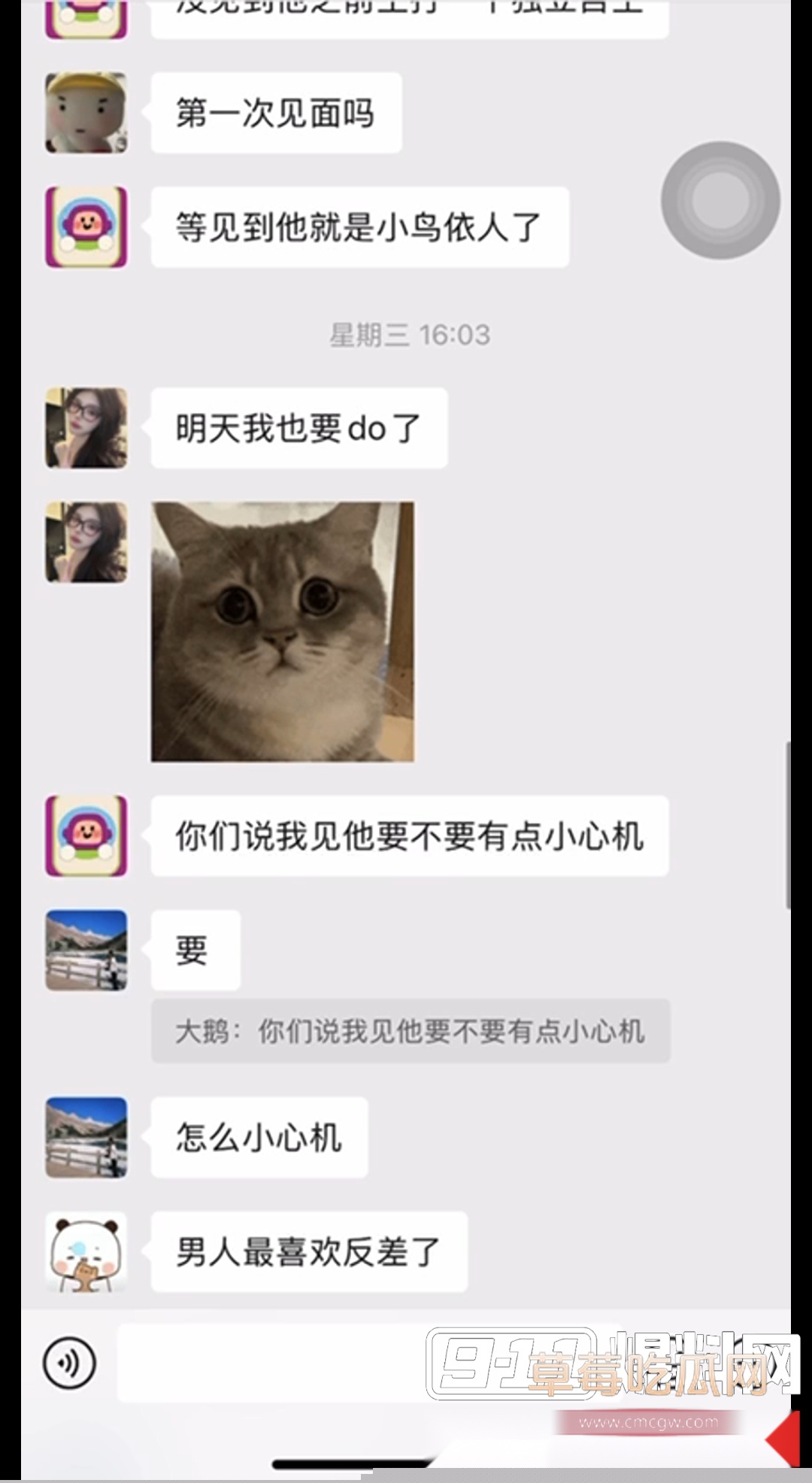 极端女权圈里的重量级神兽 3 极端女权圈里的重量级神兽 3