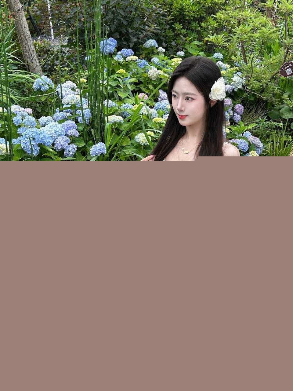 山东理工大学刘悦 17