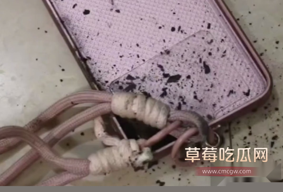 photo20250909122611 photo20250909122611