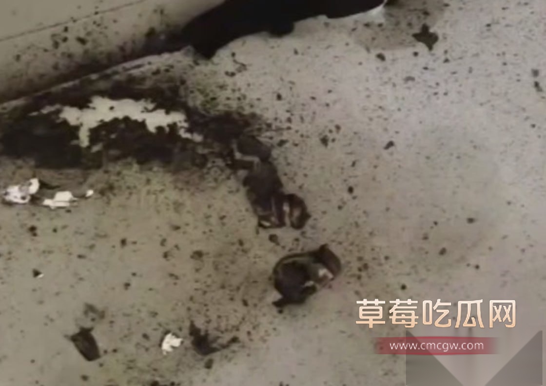 photo20250909122613 photo20250909122613