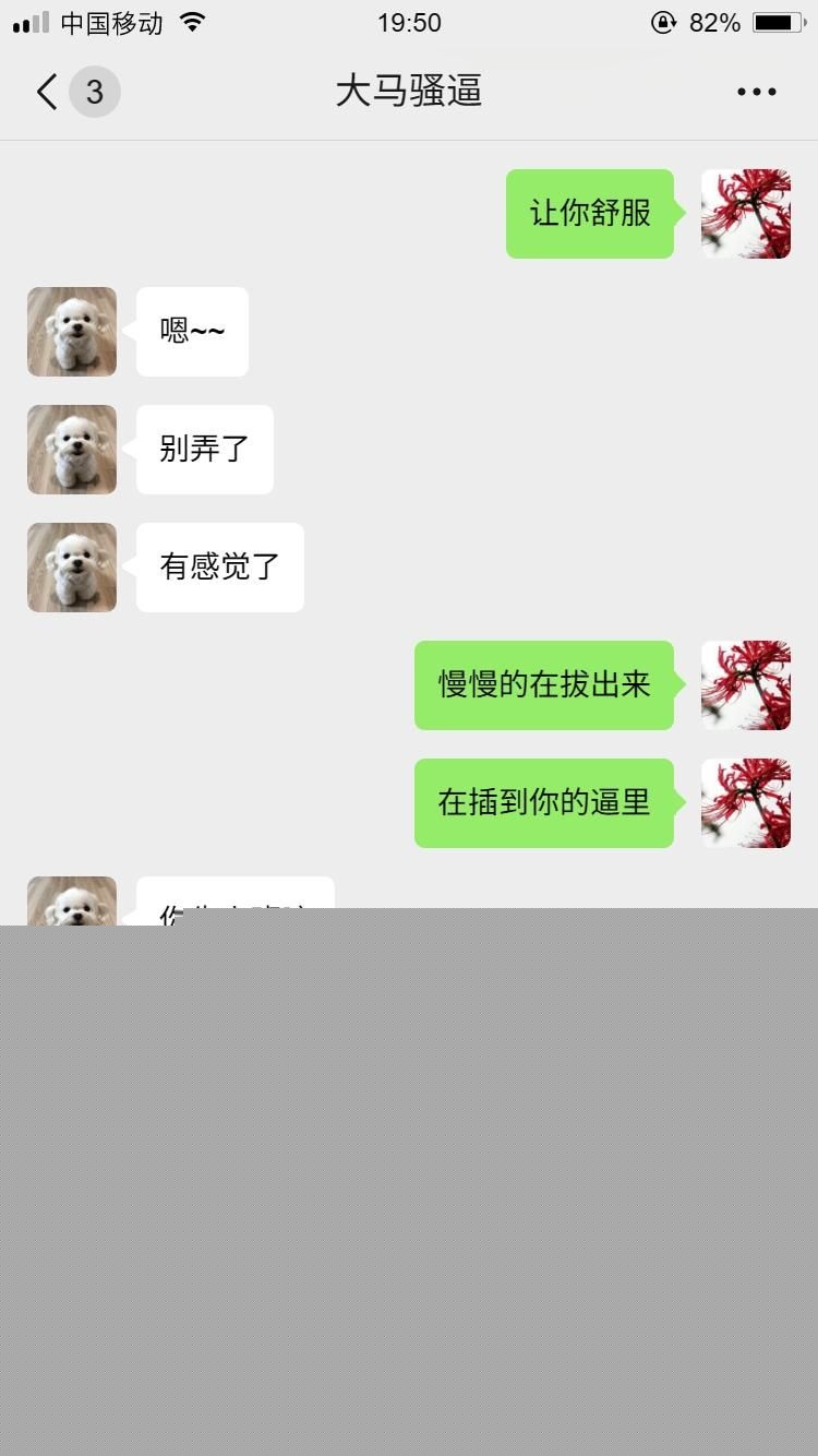 马来西亚小母狗6