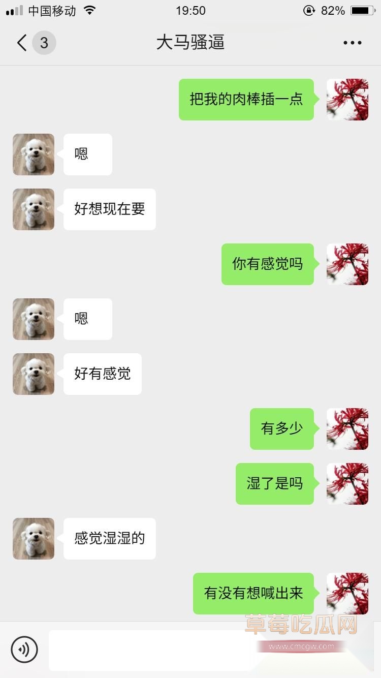 马来西亚小母狗8