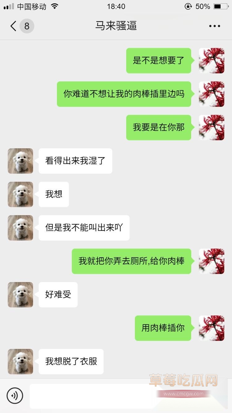 马来西亚小母狗9