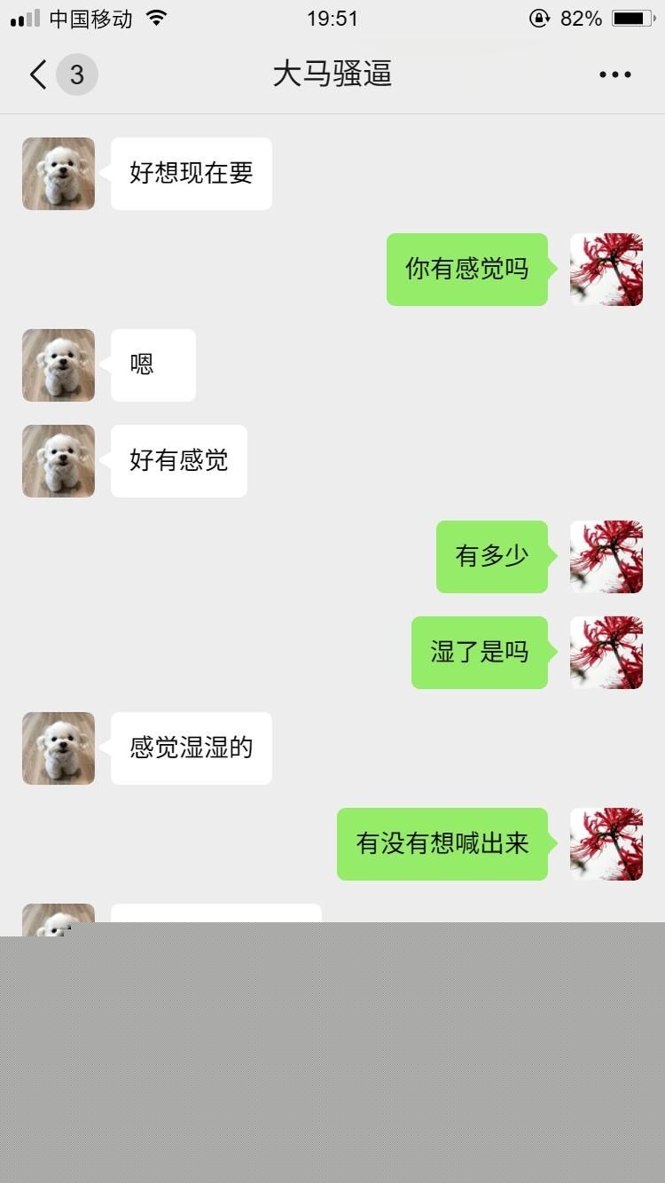 马来西亚小母狗10