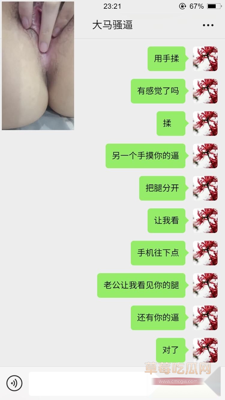 马来西亚小母狗14