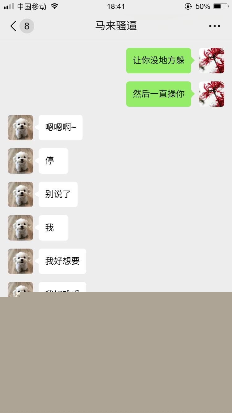马来西亚小母狗16